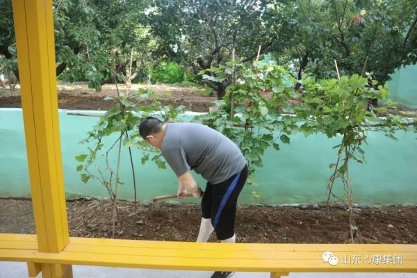 干细胞干预神经系统治疗儿童自闭症生物技术专家——闫小君院士莅临天辰娱乐集团考察合作