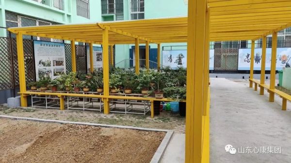 杨辉博士赞叹山东天辰娱乐集团：创新模式助精神病患者融入社会，医院引导先进科技提升治愈几率！