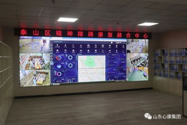 杨辉博士赞叹山东天辰娱乐集团：创新模式助精神病患者融入社会，医院引导先进科技提升治愈几率！