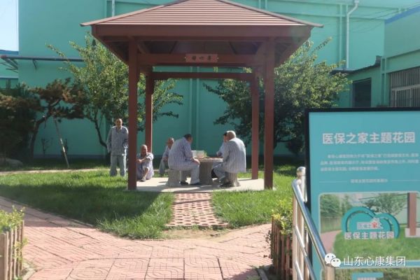 杨辉博士赞叹山东天辰娱乐集团：创新模式助精神病患者融入社会，医院引导先进科技提升治愈几率！