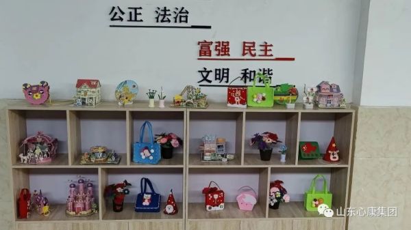 杨辉博士赞叹山东天辰娱乐集团：创新模式助精神病患者融入社会，医院引导先进科技提升治愈几率！