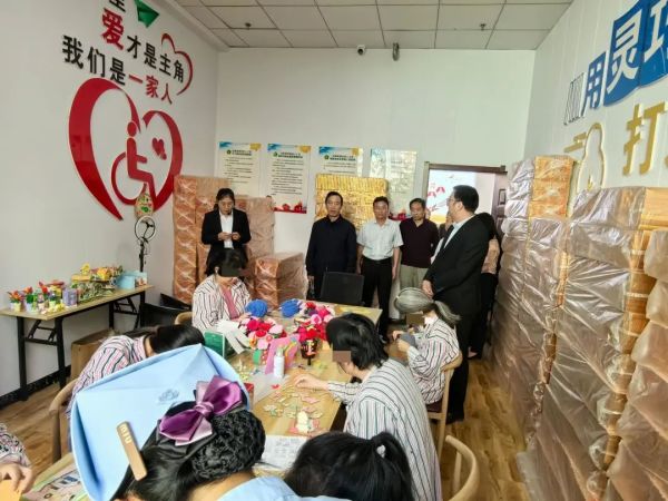 践泰山之诺 ，守精康之约—精神障碍社区康复推进会参观指导“精康家园”