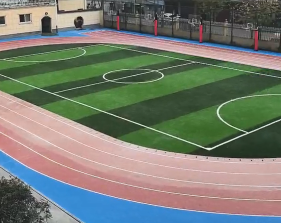 ��������ѧУȫ�����ܵ��깤